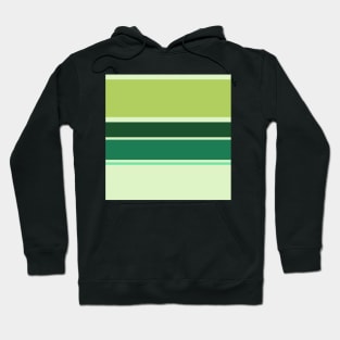 A gentle incorporation of Dark Sea Green, Medium Aquamarine, Very Light Green, Cal Poly Pomona Green and June Bud stripes. Hoodie